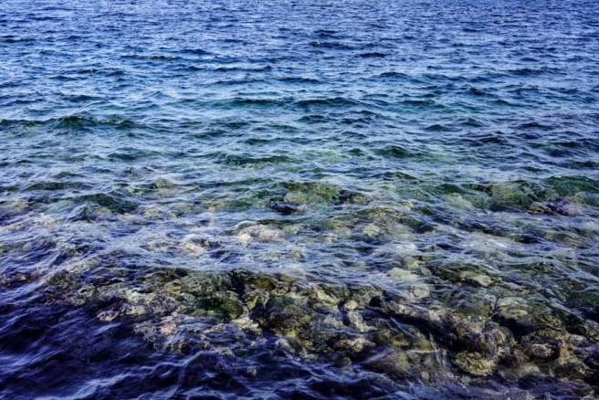 大瀬崎の海は透明度高し