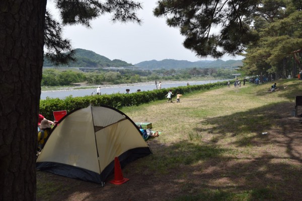 上大島キャンプ場 テントサイト
