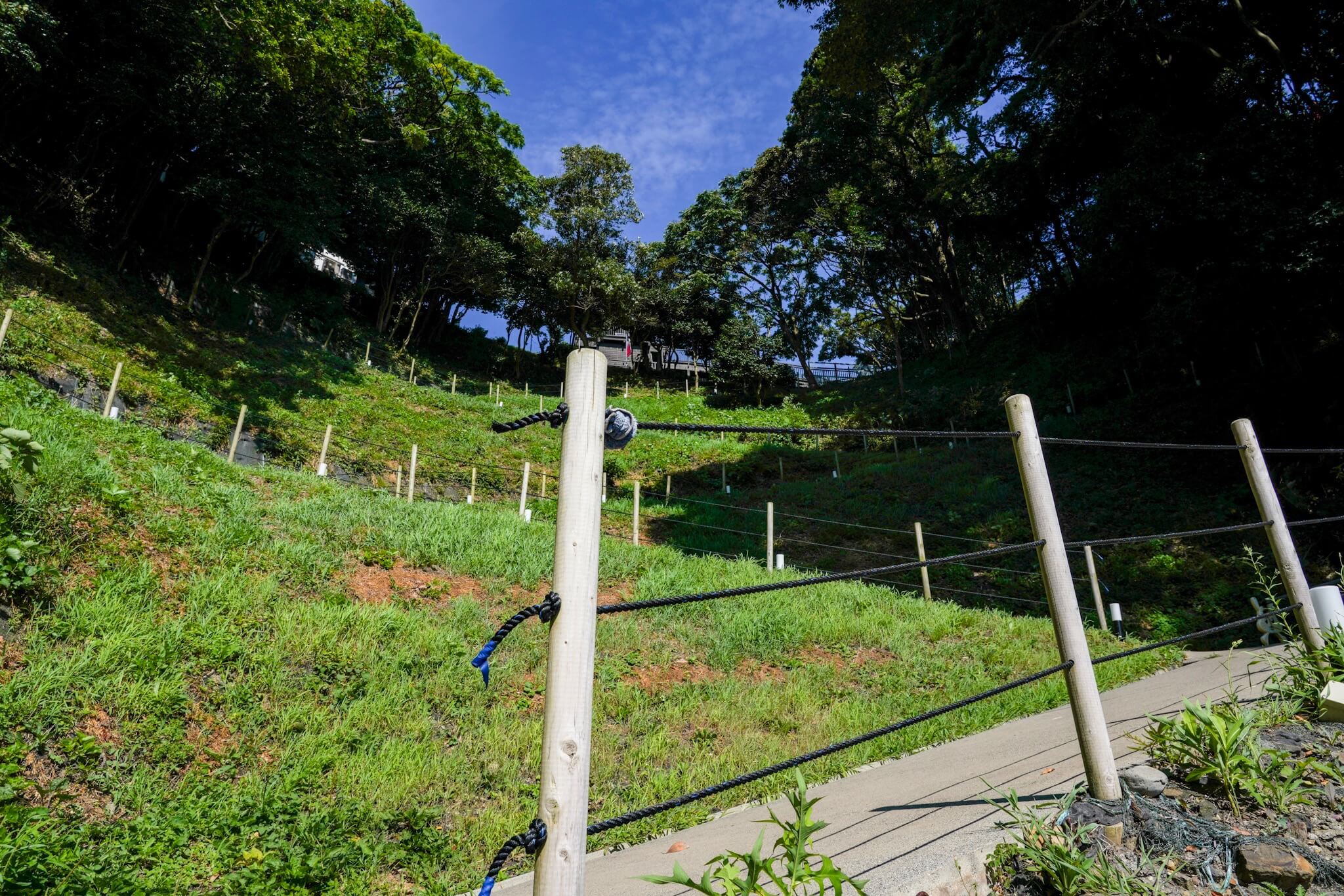 聖域の岬・青の洞窟 パワースポット「つづら折りの坂」