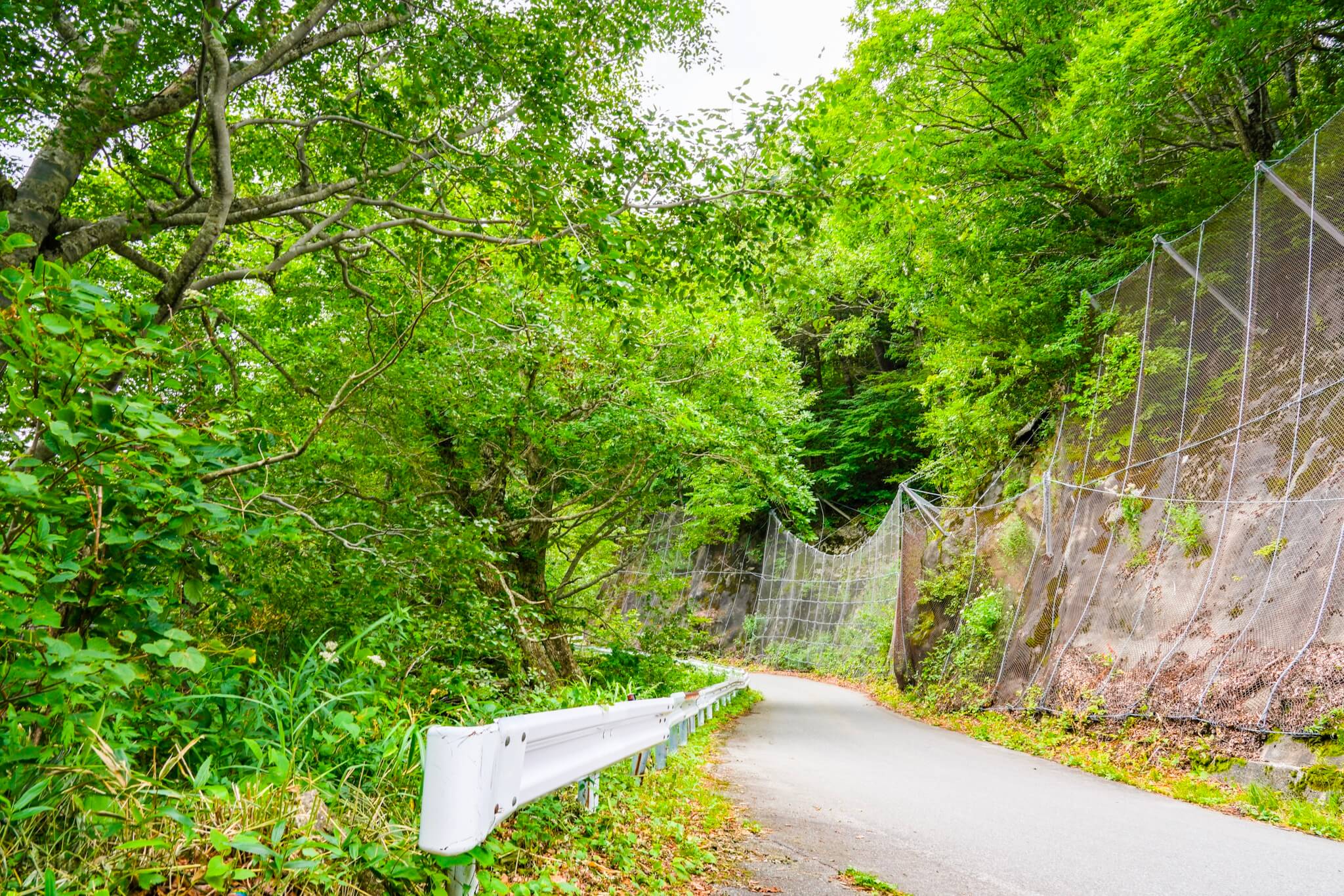 長野県側の安房峠